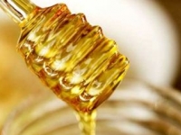 Slováci jedia menej zemiakov, začali viac holdovať medu