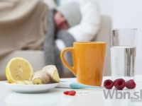  Slovenskí vedci zjednodušili výrobu liekov proti chrípke