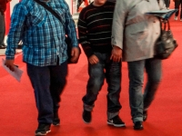 Vytrhnuté z denníka - Jablko nepadá ďaleko od stromu