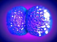 Meningokok ohrozuje aj dospievajúcich a mladých dospelých