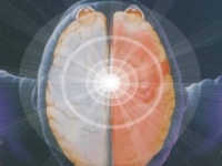 One Brain – život je obmedzený tým, čo ĽAVÁ HEMISFÉRA považuje za logické