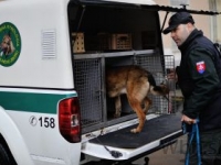 Rakúski a slovenskí policajti spoločne rozbili drogový gang