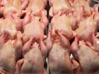 Mäso zo slovenskej hydiny je napriek vtáčej chrípke bezpečné