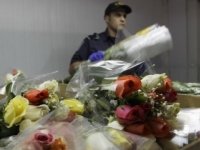 Kolumbia hľadá kokaín v ružiach. Nechce, aby kazil Valentína