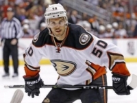Video: Antoine Vermette dostal stopku v NHL, sekol rozhodcu
