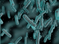 Baktérie sú čoraz odolnejšie. Ktorých sa najviac obáva WHO?