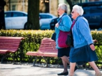 Demenciu aj Alzheimerovu chorobu vie predpovedať krvný test