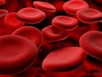 Spustili zbierku pre hemofilikov, patrónom je Michal Handzuš