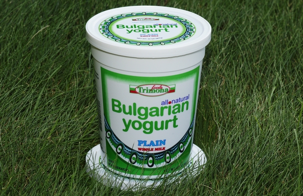 Bulgarian_Yogurt_4f835c1116ead